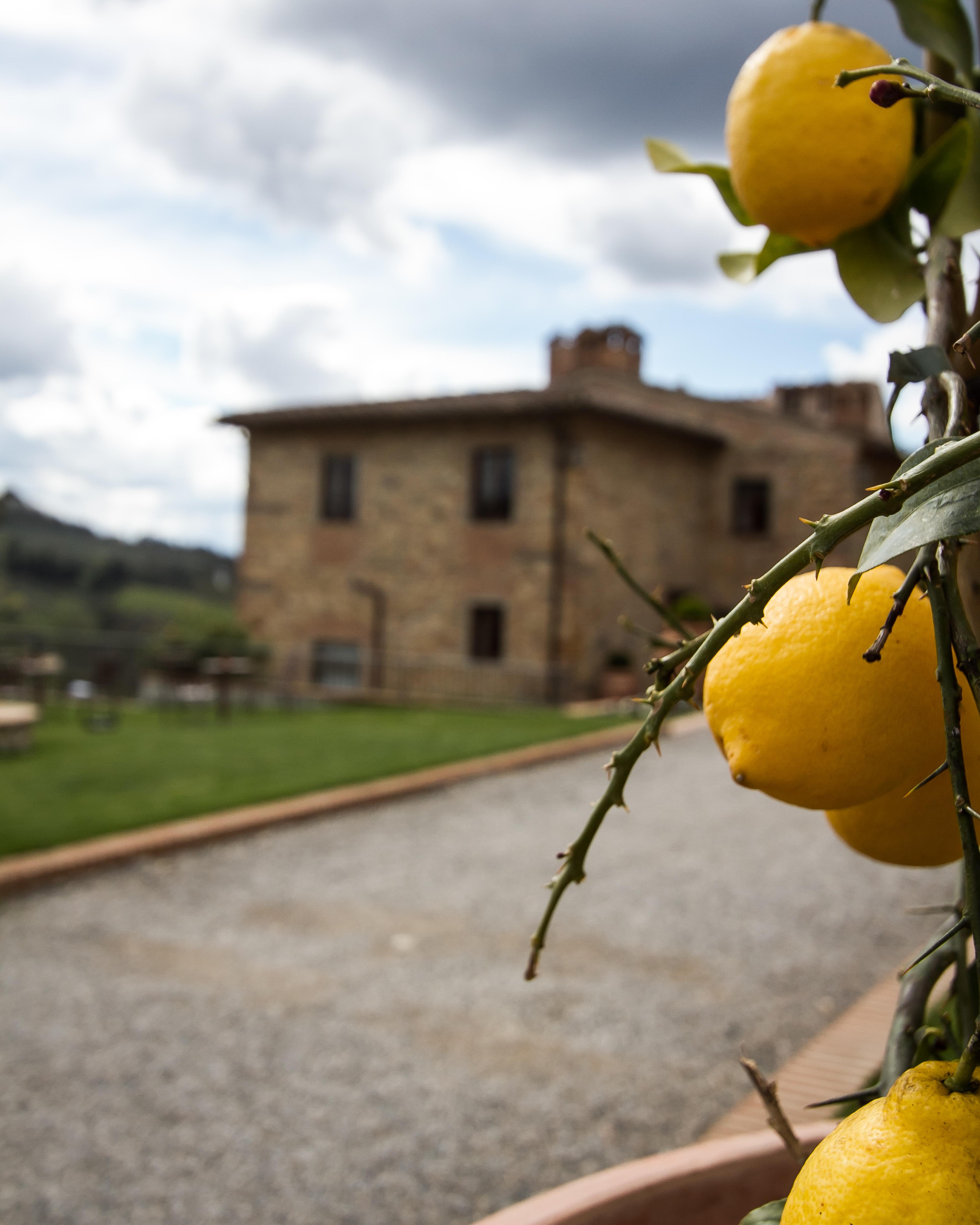 Relais Olmo - Place Of Charme Impruneta